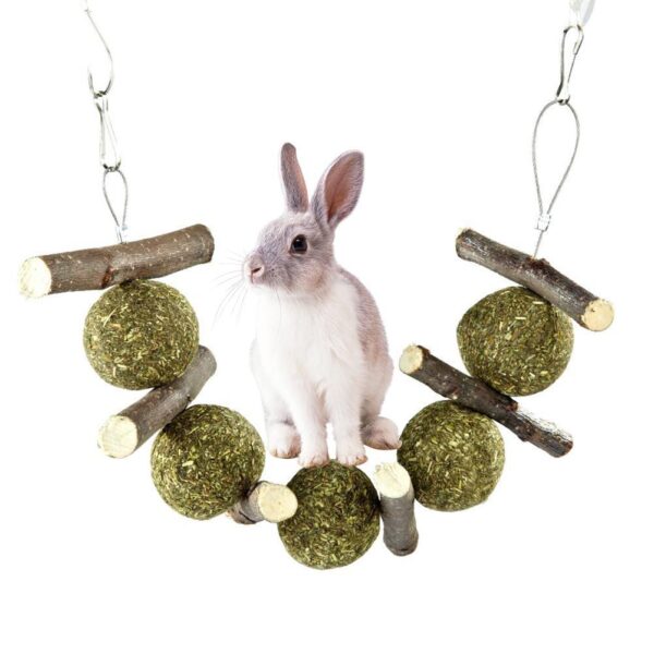 Critter Forage Toys