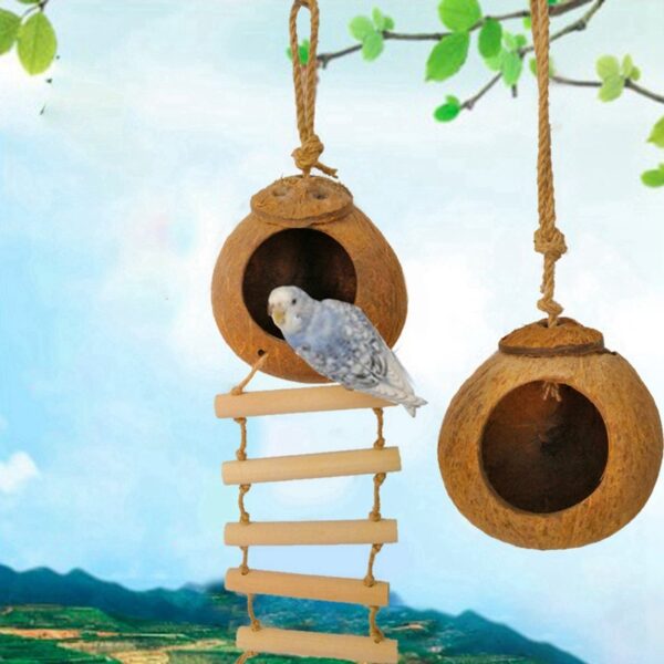 Natural Coconut Shell Bird Nest