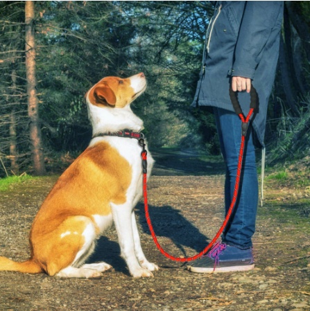 Reflective Training Dog Leash