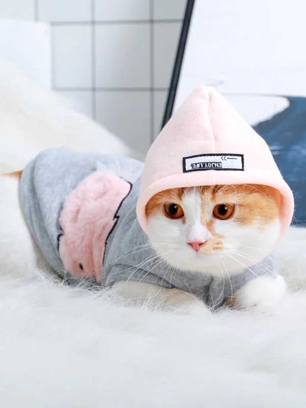 Cozy Cat Clothing