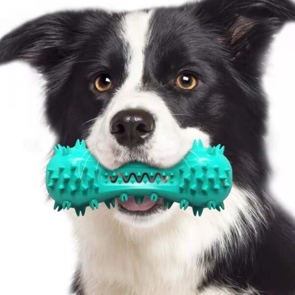 Dog Cleaning Chew Toys