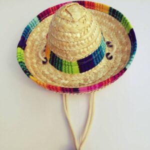 Dog Mexican Straw Hat