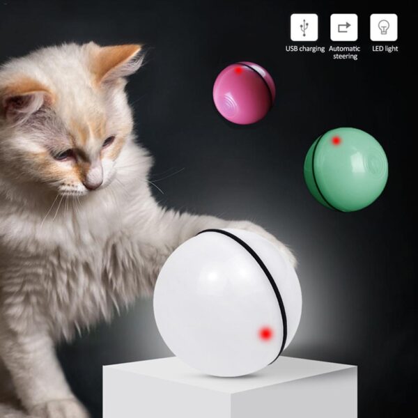 Electronic Cat Ball with LED Laser